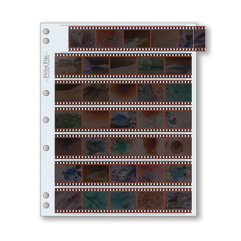Funda para negativos fotográficos - Print File - 35mm