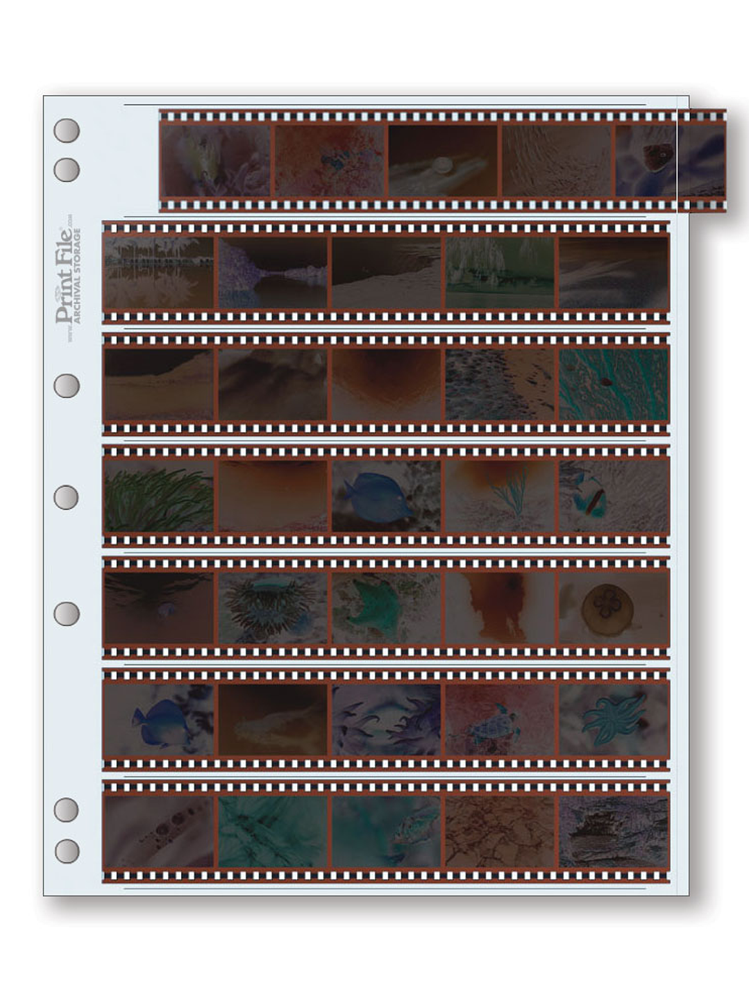 Funda para negativos fotográficos - Print File - 35mm 1