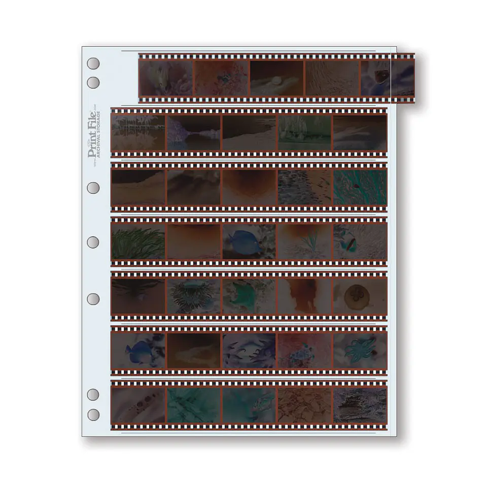 Funda para negativos fotográficos - Print File - 35mm 1
