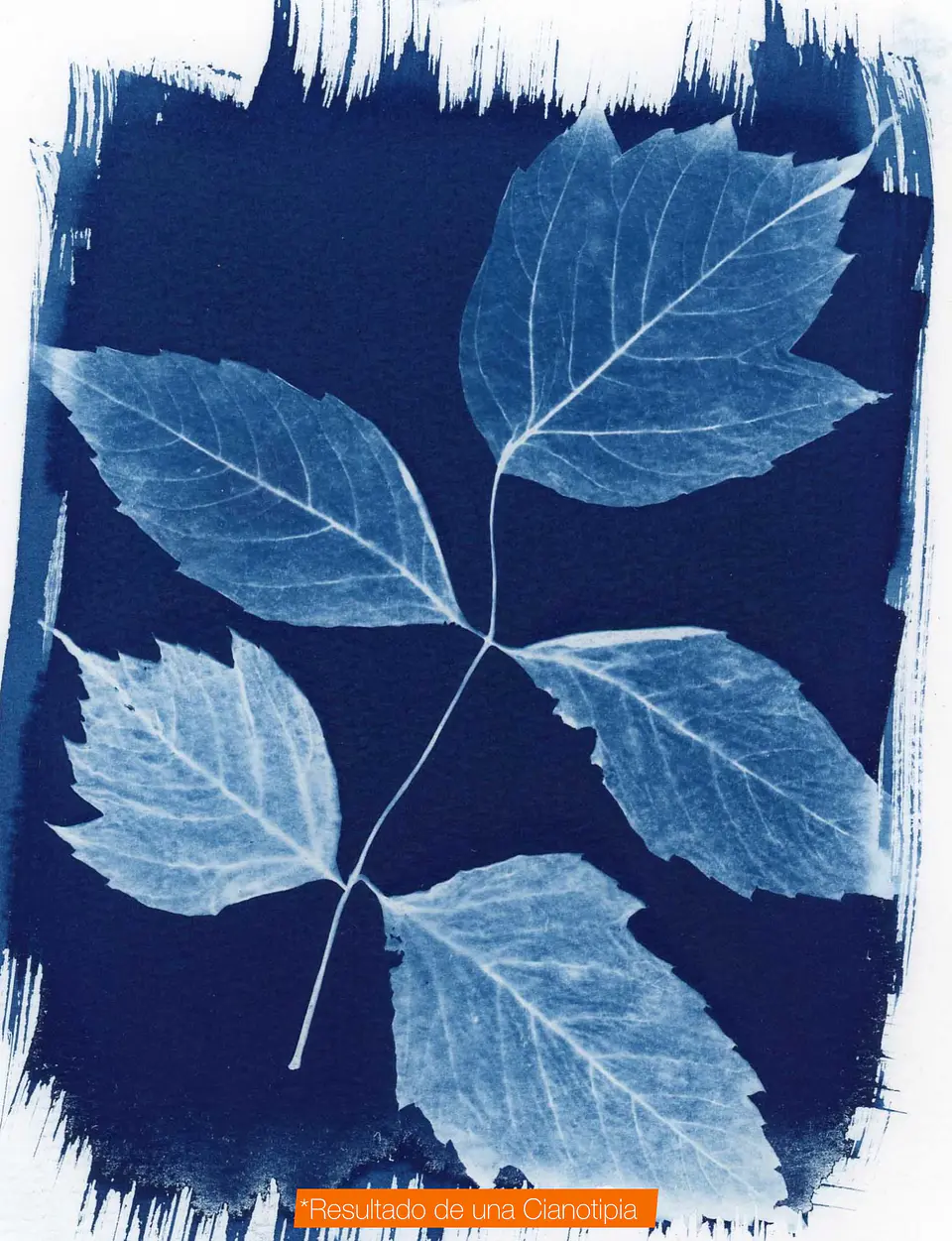 Kit de Cianotipia Textil  9