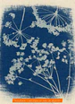 Kit de Cianotipia Textil  - Miniatura 5