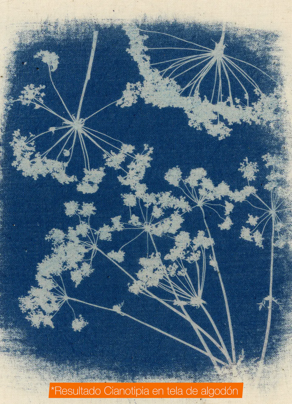 Sensibilizador Cianotipia - Ferricianuro de Potasio – 200 mL 4