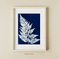 PRODUCTO DIGITAL - Helecho - Miniatura 1