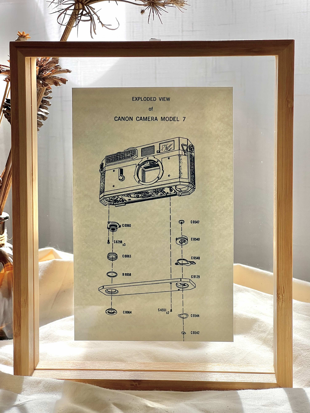 PRODUCTO FÍSICO - Cuadro Cianotipia Canon Camera  1