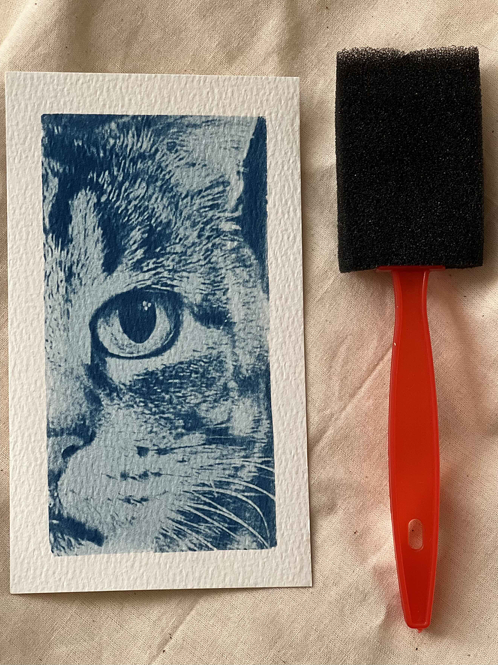 Brochas de Espuma mediana - mango rojo 1