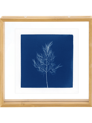 PRODUCTO FÍSICO - Cuadro Cianotipia Hinojo I