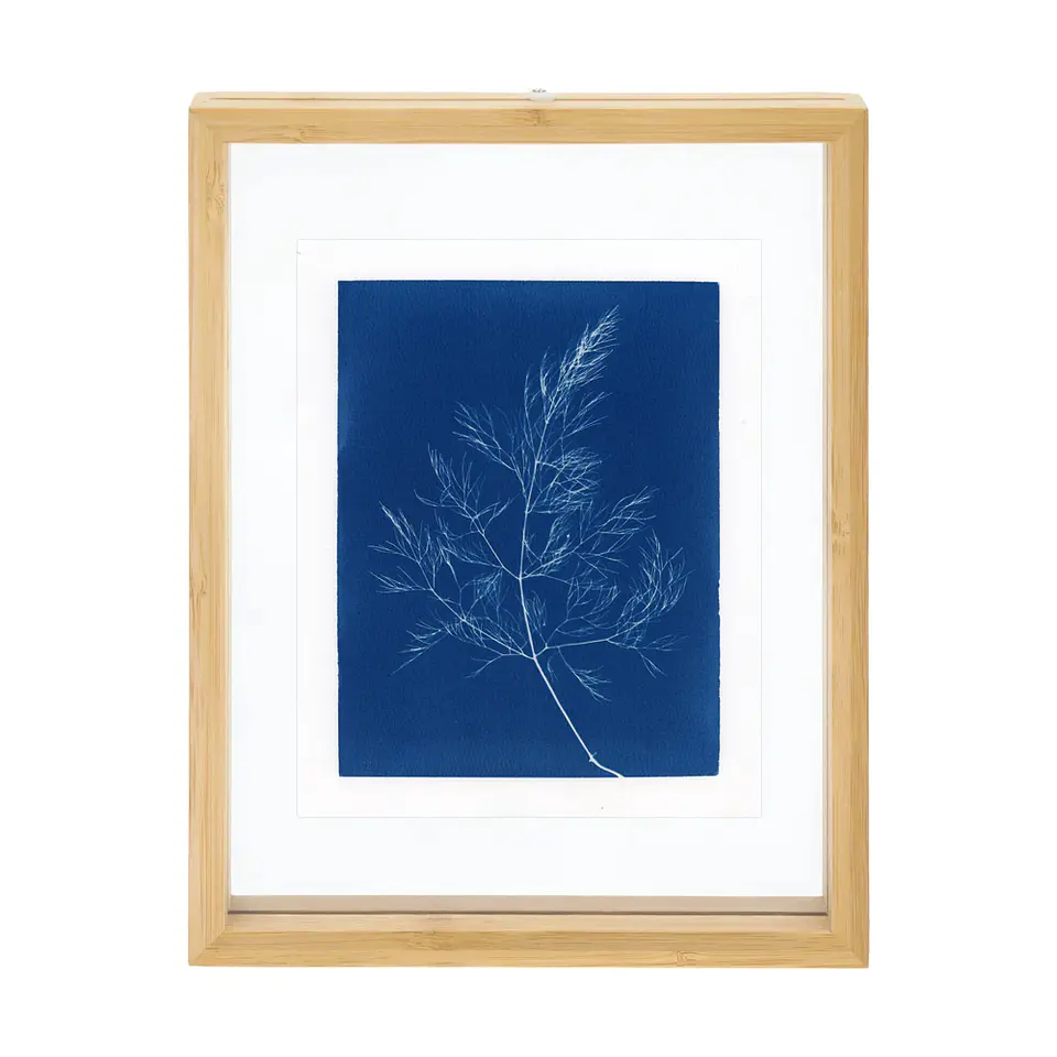 PRODUCTO FÍSICO - Cuadro Cianotipia Hinojo II 1