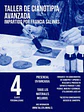 Curso Avanzado de Cianotipia Personalizado - Presencial Rancagua - Miniatura 1