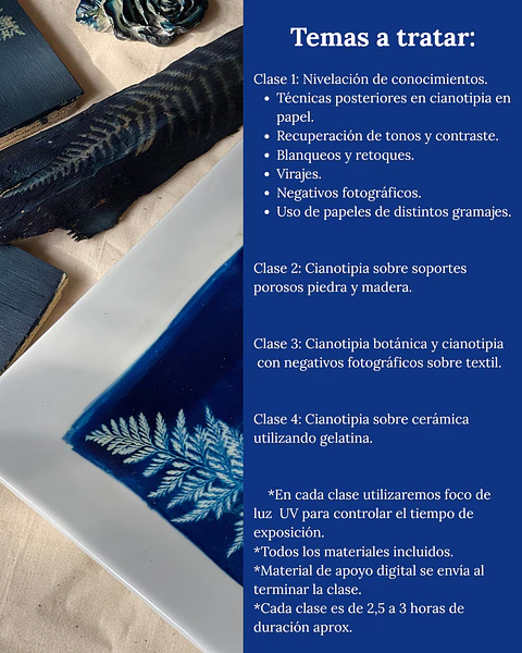 Curso Avanzado de Cianotipia Personalizado - Presencial Rancagua
