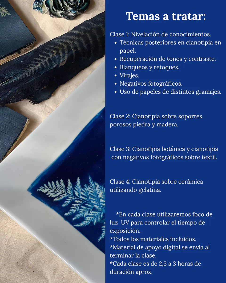 Curso Avanzado de Cianotipia Personalizado - Presencial Rancagua 2