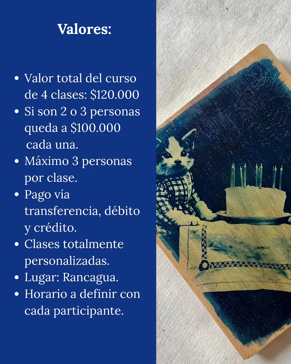 Curso Avanzado de Cianotipia Personalizado - Presencial Rancagua 3