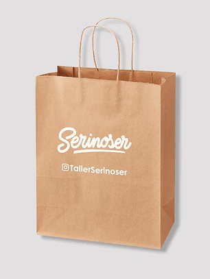 Bolsas de papel 22x30x10 cm