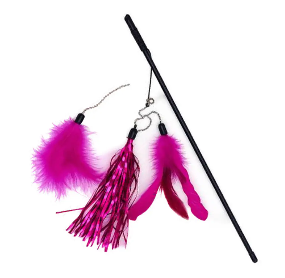 Varita Plumas Y Cintas Brillantes Rosa 1