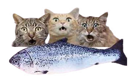 Peluche Salmon Con Catnip Al Interior M 30