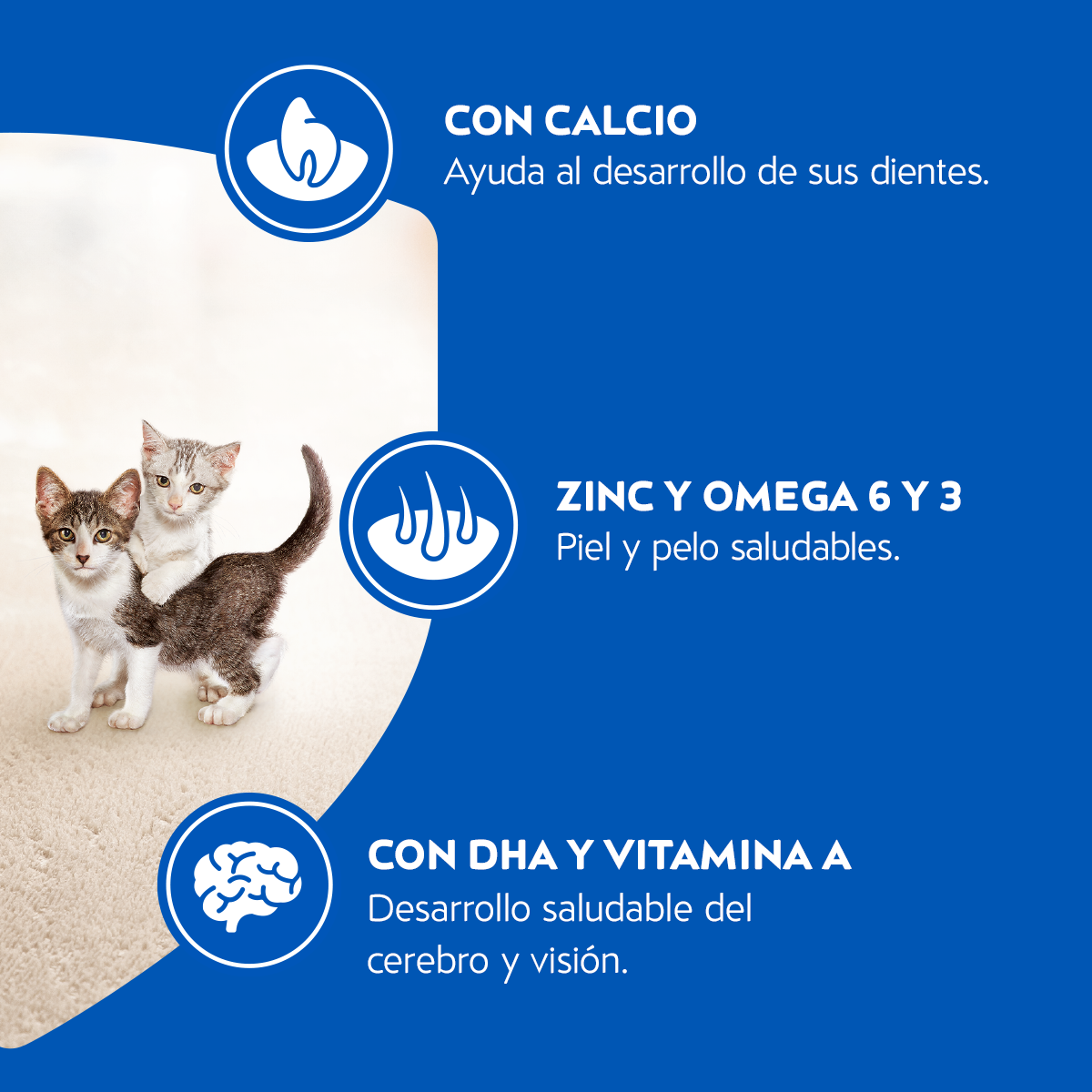 Cat Chow Gatitos 3 KG 3