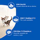 Cat Chow Gatitos 3 KG - Miniatura 3