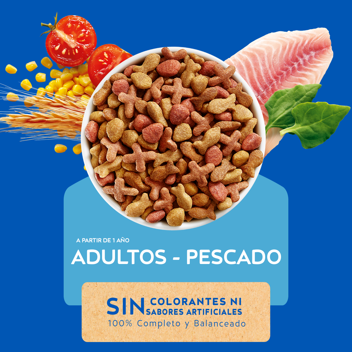 Cat Chow Ocean 3 KG 2