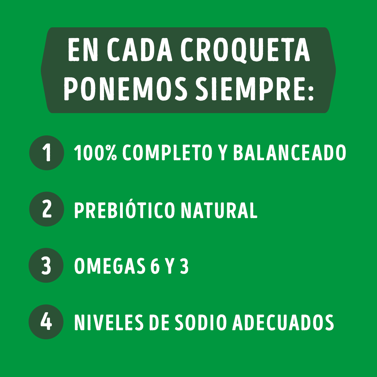 Dog Chow Adulto 3 Kg 3