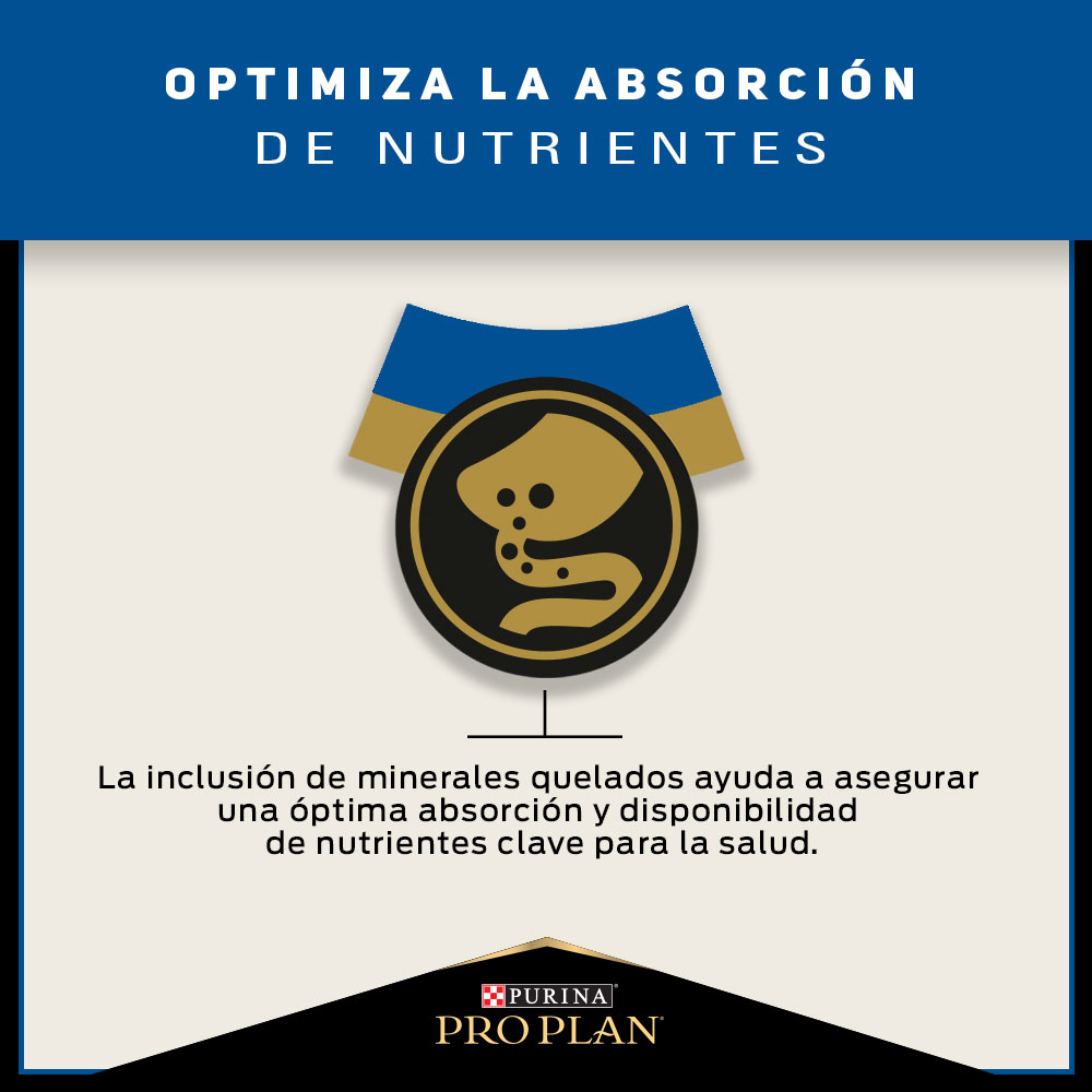Pro Plan Cat Adult 7+ 3 Kg 3