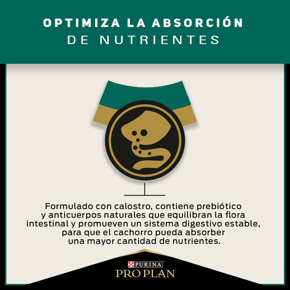 Pro Plan Puppy Razas Pequeñas 3 Kg 3