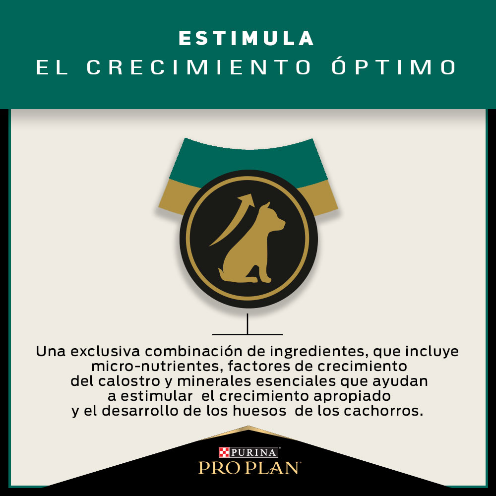 Pro Plan Puppy Razas Pequeñas 3 Kg 4
