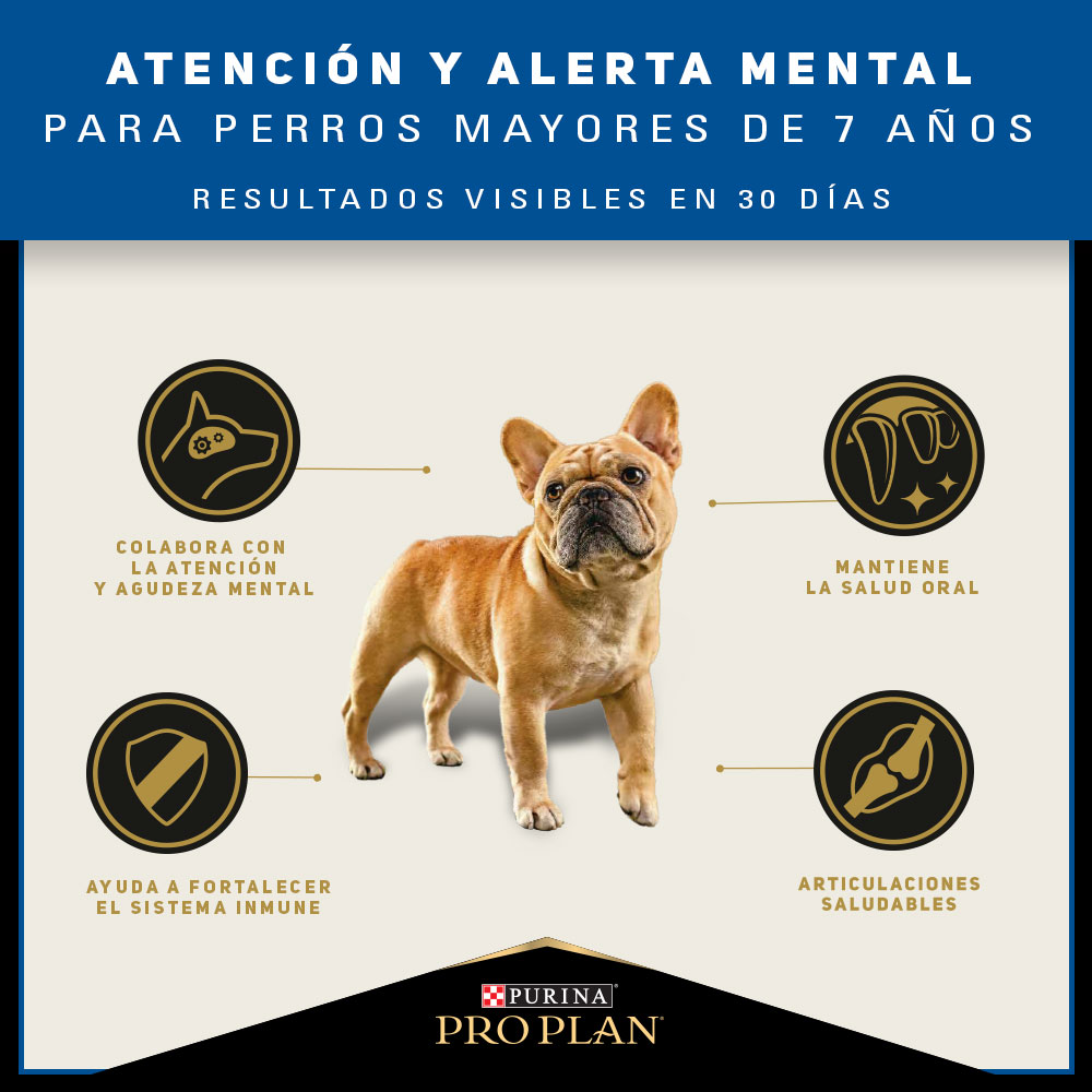 Pro Plan Adulto Razas Pequeñas 3Kg 5