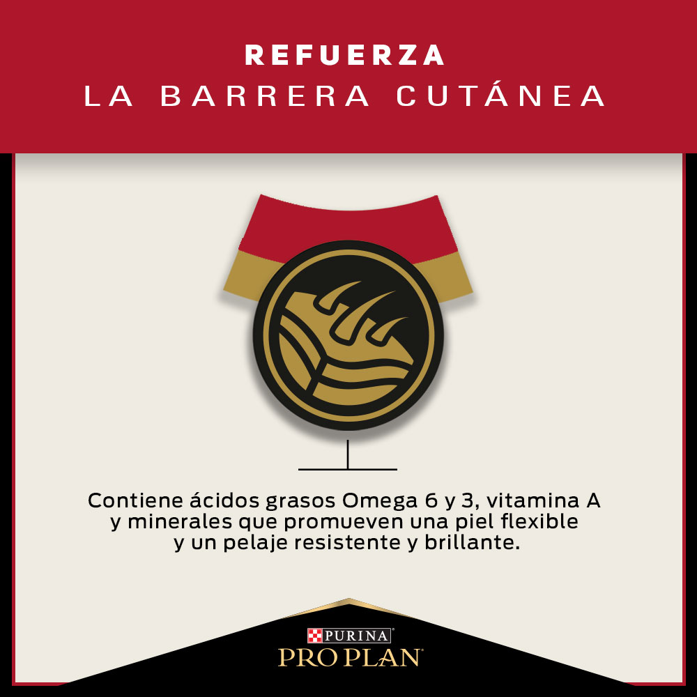 Pro Plan Adulto Razas Pequeñas 7.5Kg 2