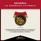 Pro Plan Adulto Razas Pequeñas 7.5Kg - Miniatura 2