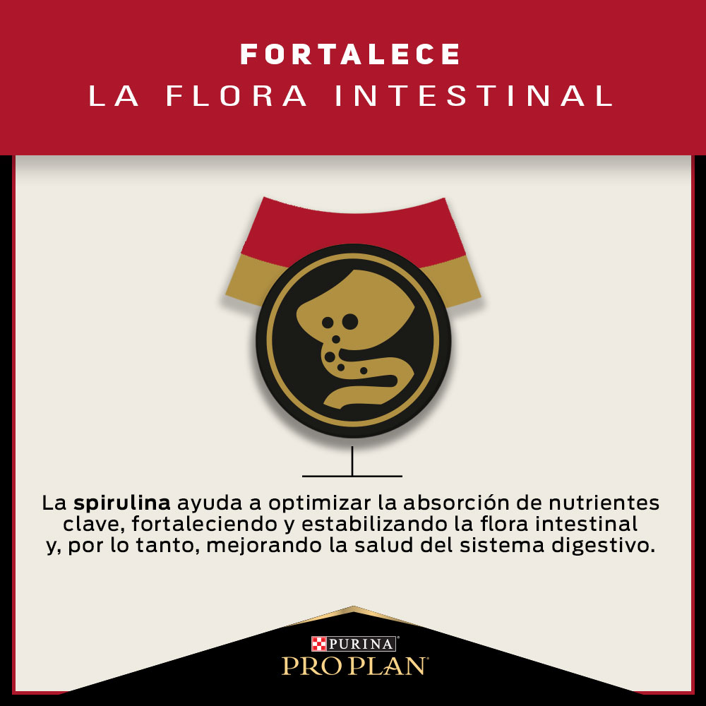 Pro Plan Adulto Razas Pequeñas 7.5Kg 3
