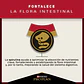 Pro Plan Adulto Razas Pequeñas 7.5Kg - Miniatura 3