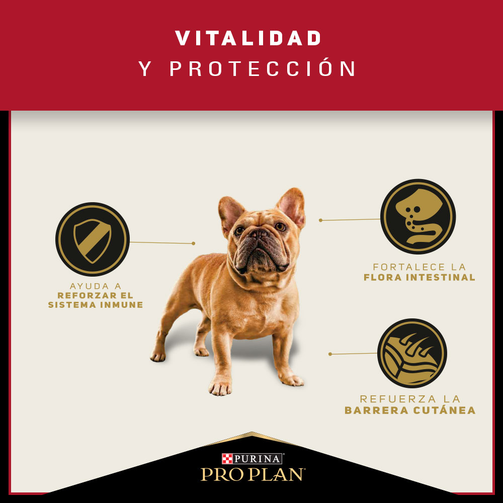 Pro Plan Adulto Razas Pequeñas 7.5Kg 5