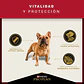 Pro Plan Adulto Razas Pequeñas 7.5Kg - Miniatura 5