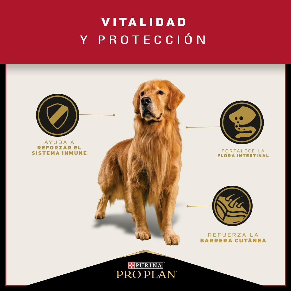 Pro Plan Adulto Razas Medianas 3Kg 3
