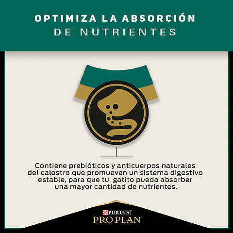 Pro Plan Cat Kitten 3 Kg