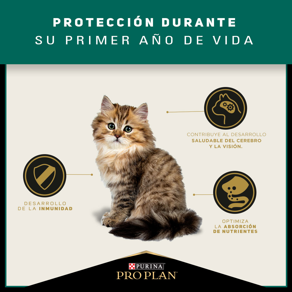 Pro Plan Cat Kitten 3 Kg 5