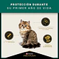 Pro Plan Cat Kitten 7,5 Kg - Miniatura 5