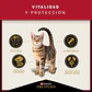 Pro Plan Cat Adult 3 Kg - Miniatura 5