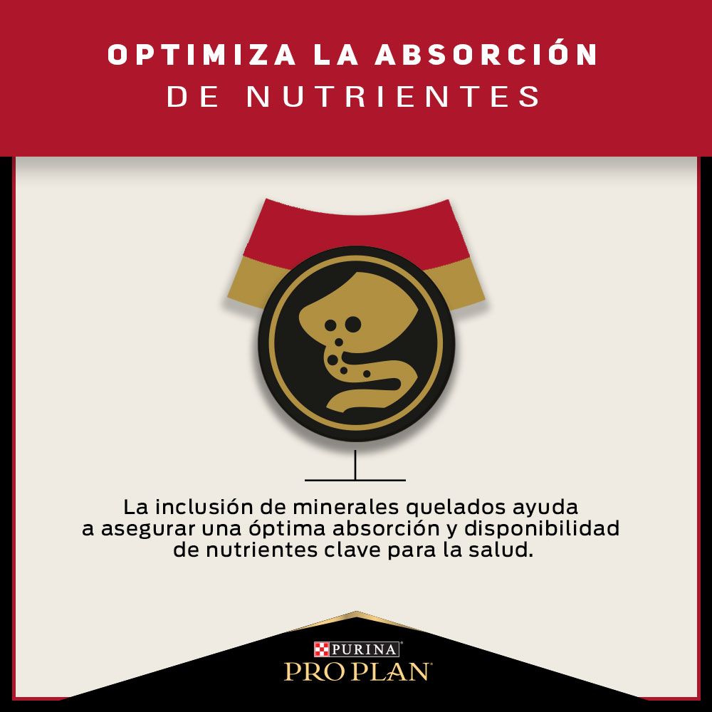 Pro Plan Cat Adult 7,5 Kg 3