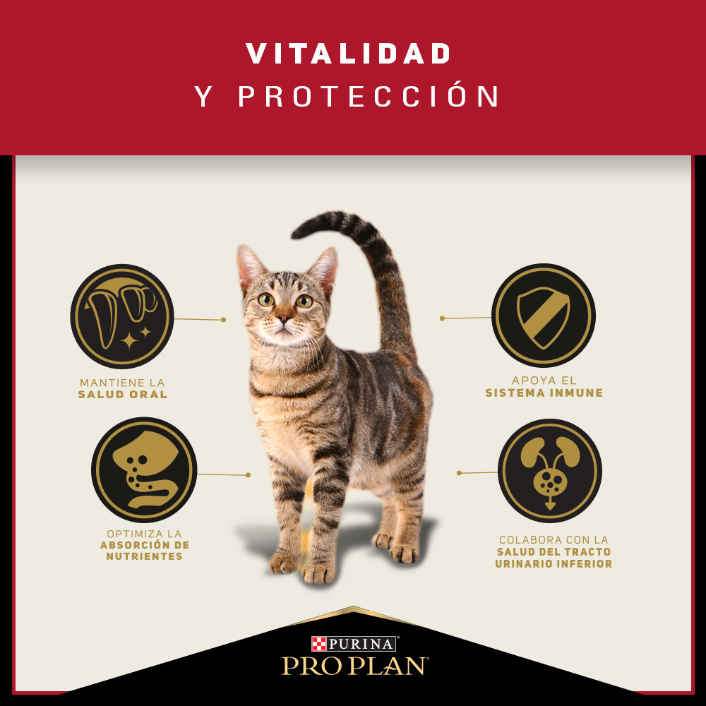 Pro Plan Cat Adult 7,5 Kg 5