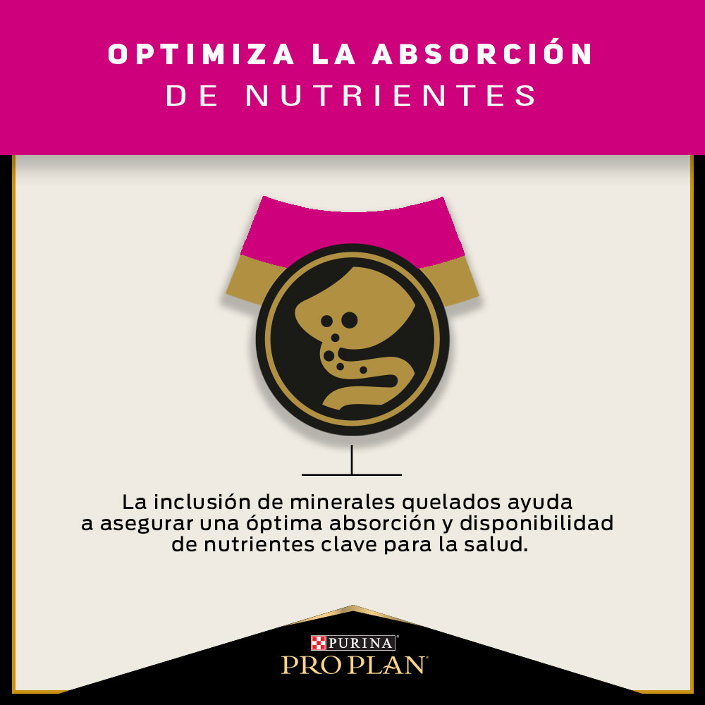 Pro Plan Cat Sterilized 3 Kg 4