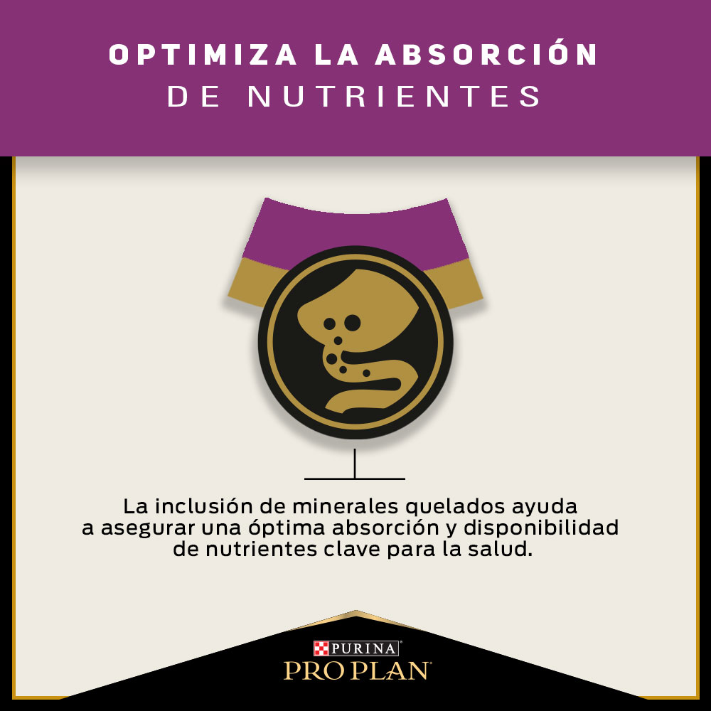 Pro Plan Cat Urinary 3 Kg 4