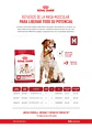 Royal Canin Medium Adulto 2.5 Kg - Miniatura 2