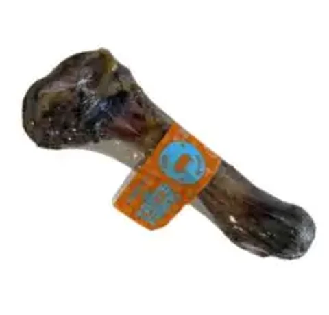 Femur Cerdo Simple