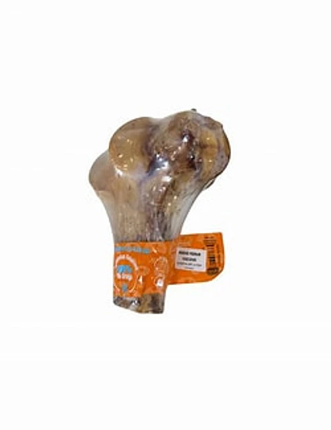 Medio Femur Vacuno 1 Un