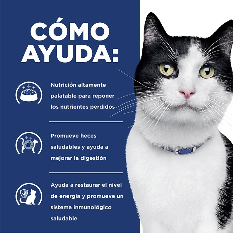 Hill’s Prescription Diet i/d húmedo para gatos 156 g 2