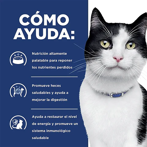 Hill’s Prescription Diet i/d húmedo para gatos 156 g