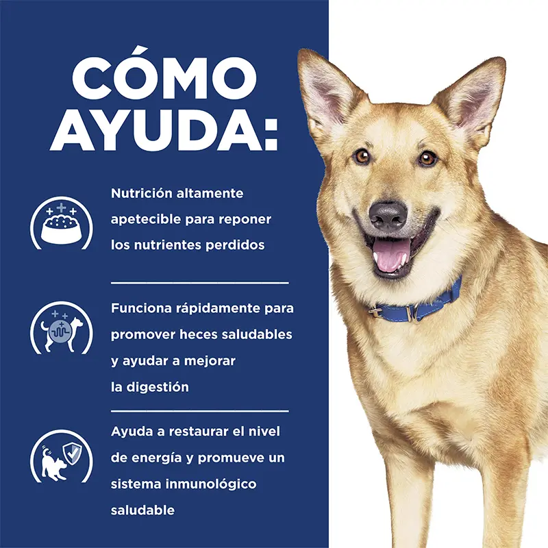 Hill’s Prescription Diet i/d húmedo para perros 370 g 2