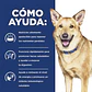 Hill’s Prescription Diet i/d húmedo para perros 370 g - Miniatura 2