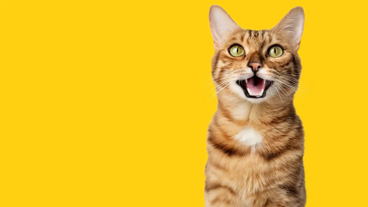 GATOS