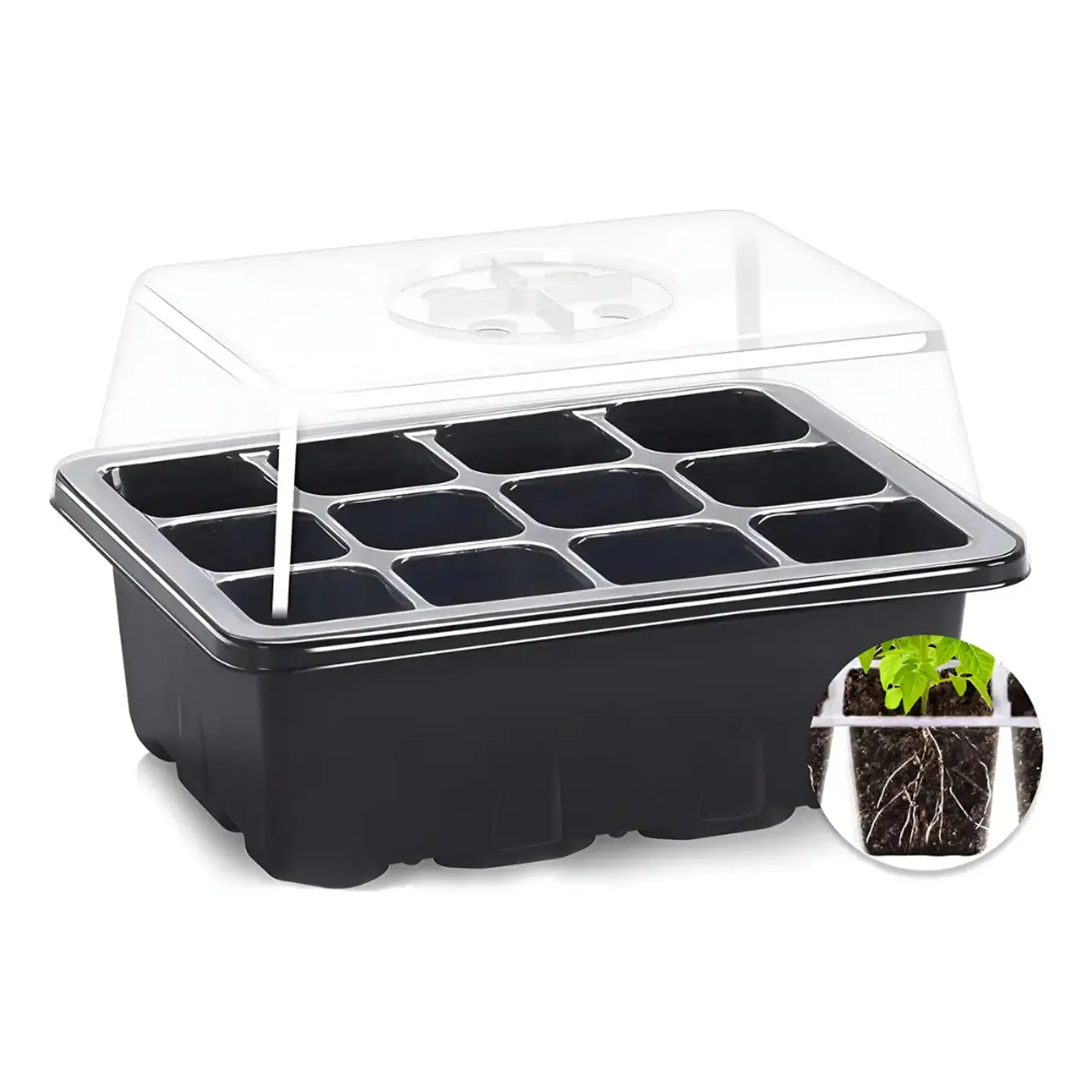 Almaciguera con bandeja de riego y cúpula para cultivo de semillas con 12 Celdas 1